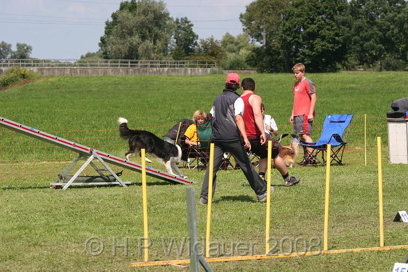 jubil.lusten. 263.jpg